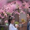 『桃花夫婦～偽装結婚は恋の始まり～』
