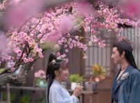 『桃花夫婦～偽装結婚は恋の始まり～』