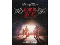 Stray Kids The dominATE Experience