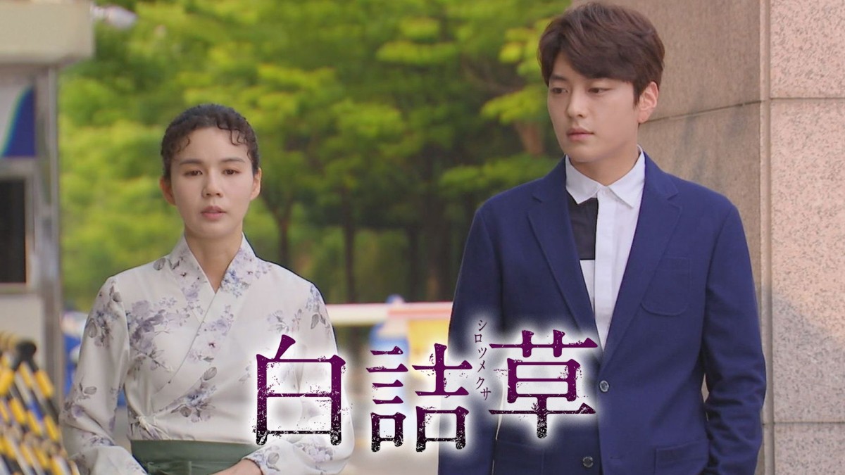 白詰草