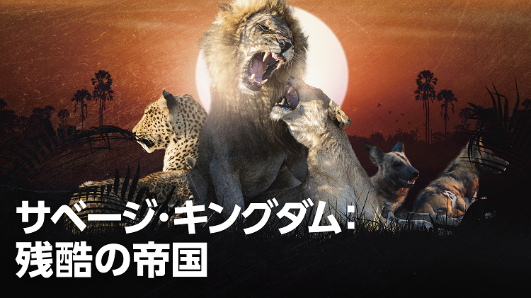 20210722-00000003-dramanavi-1-00-view.png
