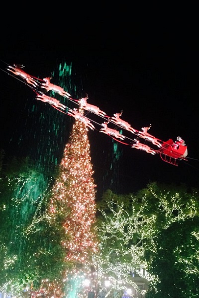 20161228_xmas1_04.jpg