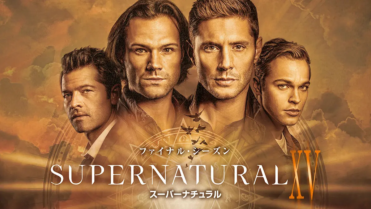 5☆SUPERNATURAL スーパーナチュラル シーズン9 DVD BOX 中古
