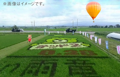 『テッド2』田んぼアートをみんなで収穫しよう！　"テッド収穫祭"が9月3日（木）に開催!!
