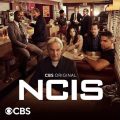 『NCIS 〜ネイビー犯罪捜査班』シーズン20へ更新