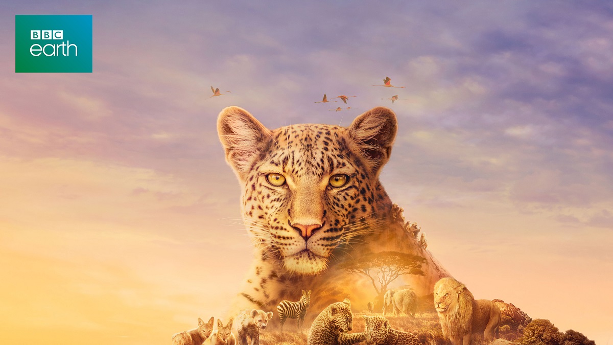 BBC超大作ネイチャードキュメンタリー『BBC Earth セレンゲティ2 