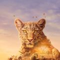 『BBC Earth　セレンゲティ2』