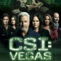『CSI:ベガス』がDVDリリース！過去の事件をめぐる謎に新旧メンバーが挑む