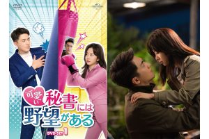 Amazon.co.jp: 未開封＊可愛い秘書には野望がある DVD-SET1