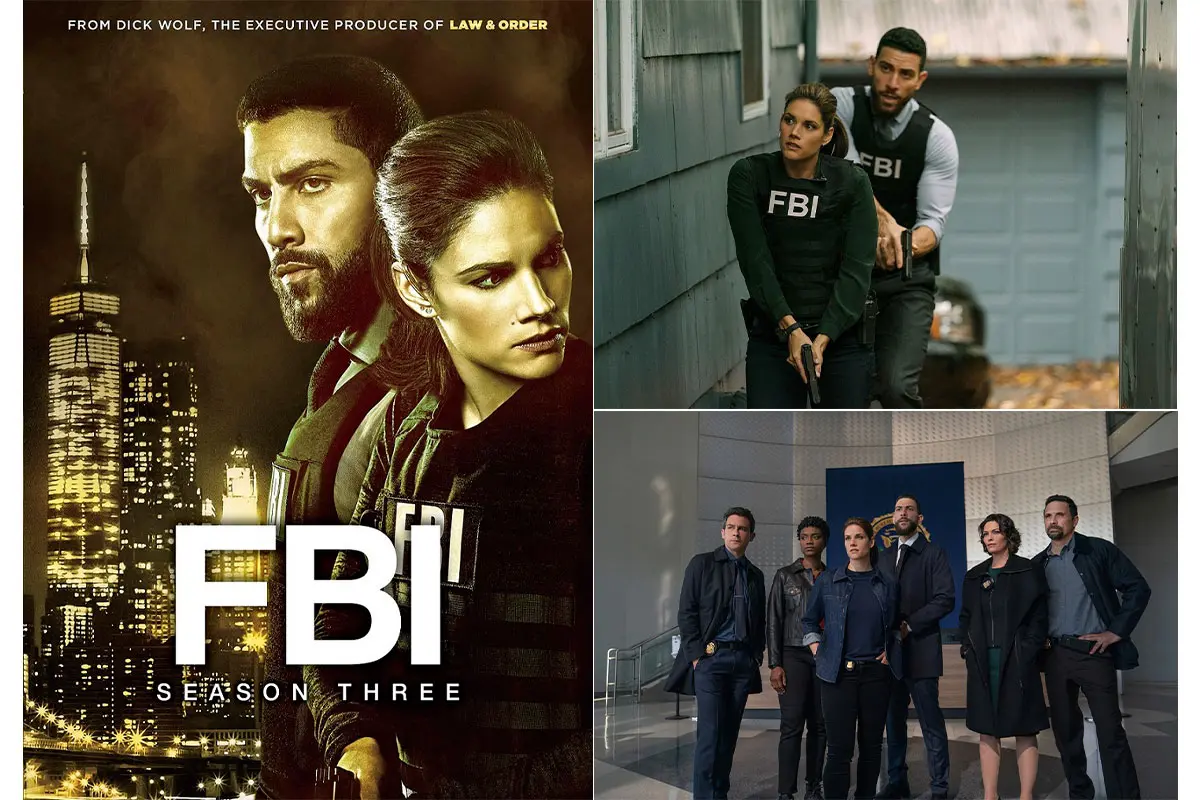 お値下げしました‼️FBI 特別捜査班 シーズン3 DVD-BOX (8枚組) FBI：特別捜査班 シーズン3 | 宅配DVDレンタルのTSUTAYA DISCAS