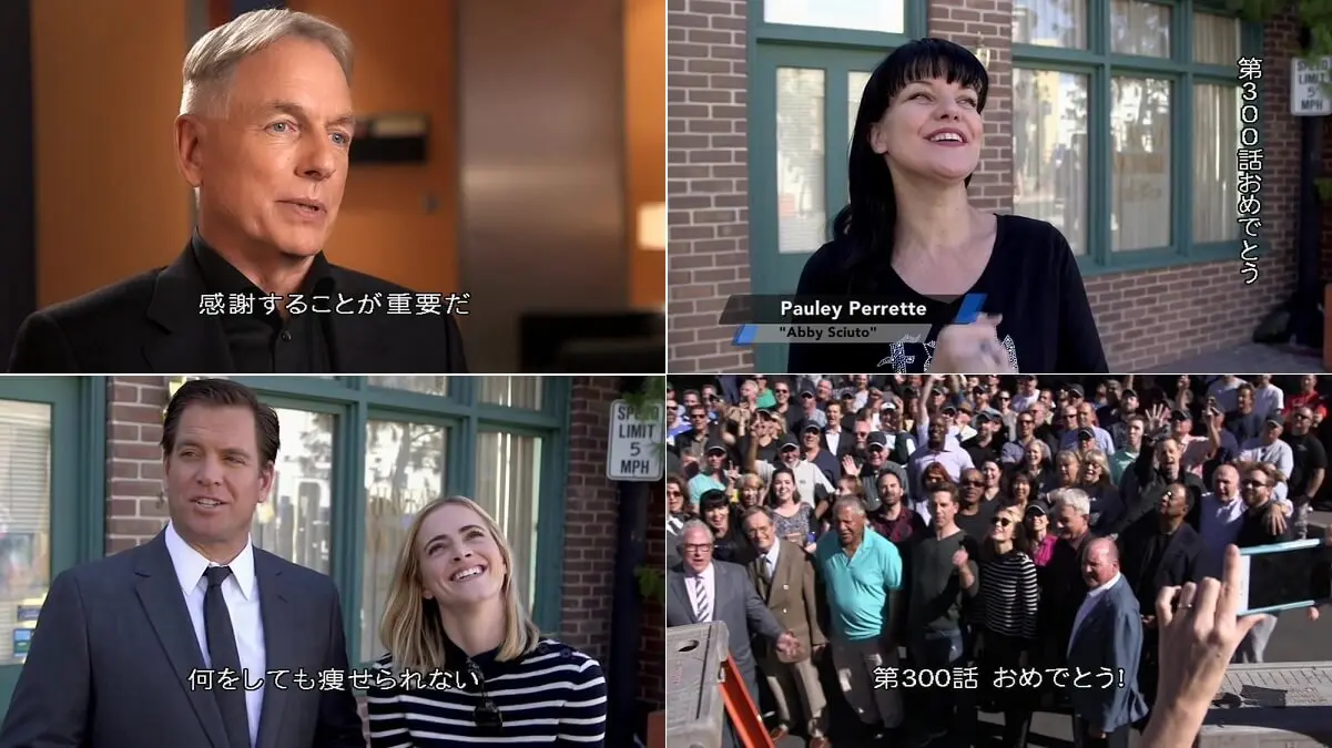 NCIS ネイビー犯罪捜査班』シーズン13、DVDリリース記念に特典