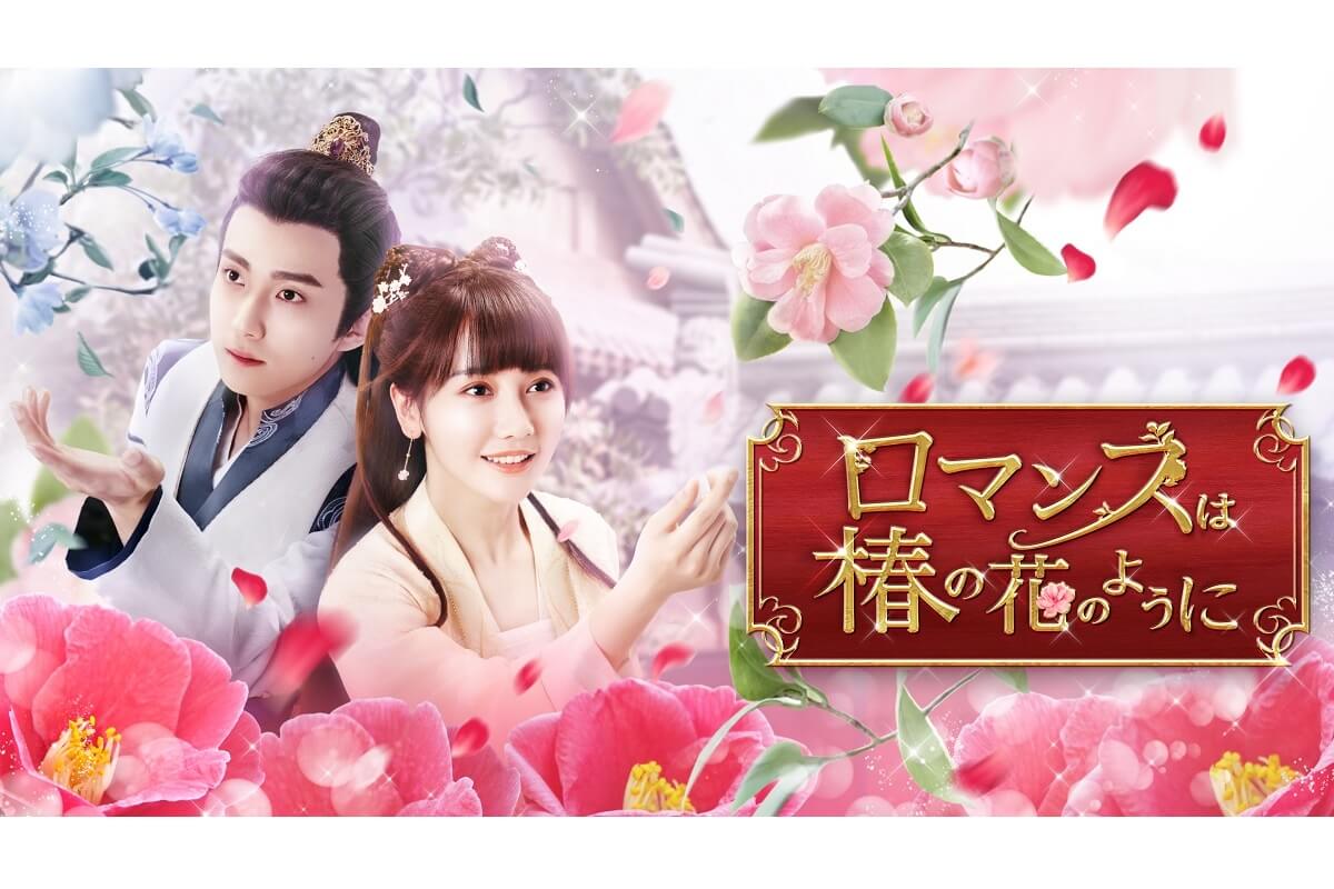 中国ドラマ『ロマンスは椿の花のように』はどこで配信してる？｜あらすじ・キャスト・動画配信サービス