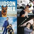 ハドソン＆レックス～セントジョンズ警察シェパード犬刑事、マルコ＆レックス～ローマ警察シェパード犬刑事、ロッキー・アンド・ザ・コップ　最強の相棒、レックス～ウィーン警察シェパード犬刑事～