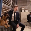 ハドソン＆レックス～セントジョンズ警察シェパード犬刑事