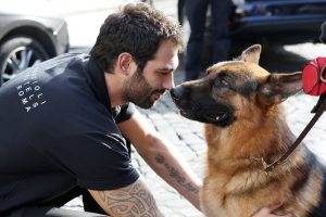 マルコ&レックス~ローマ警察シェパード犬刑事