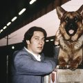 レックス～ウィーン警察シェパード犬刑事～