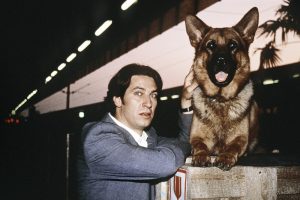 REX ~ウィーン警察シェパード犬刑事~