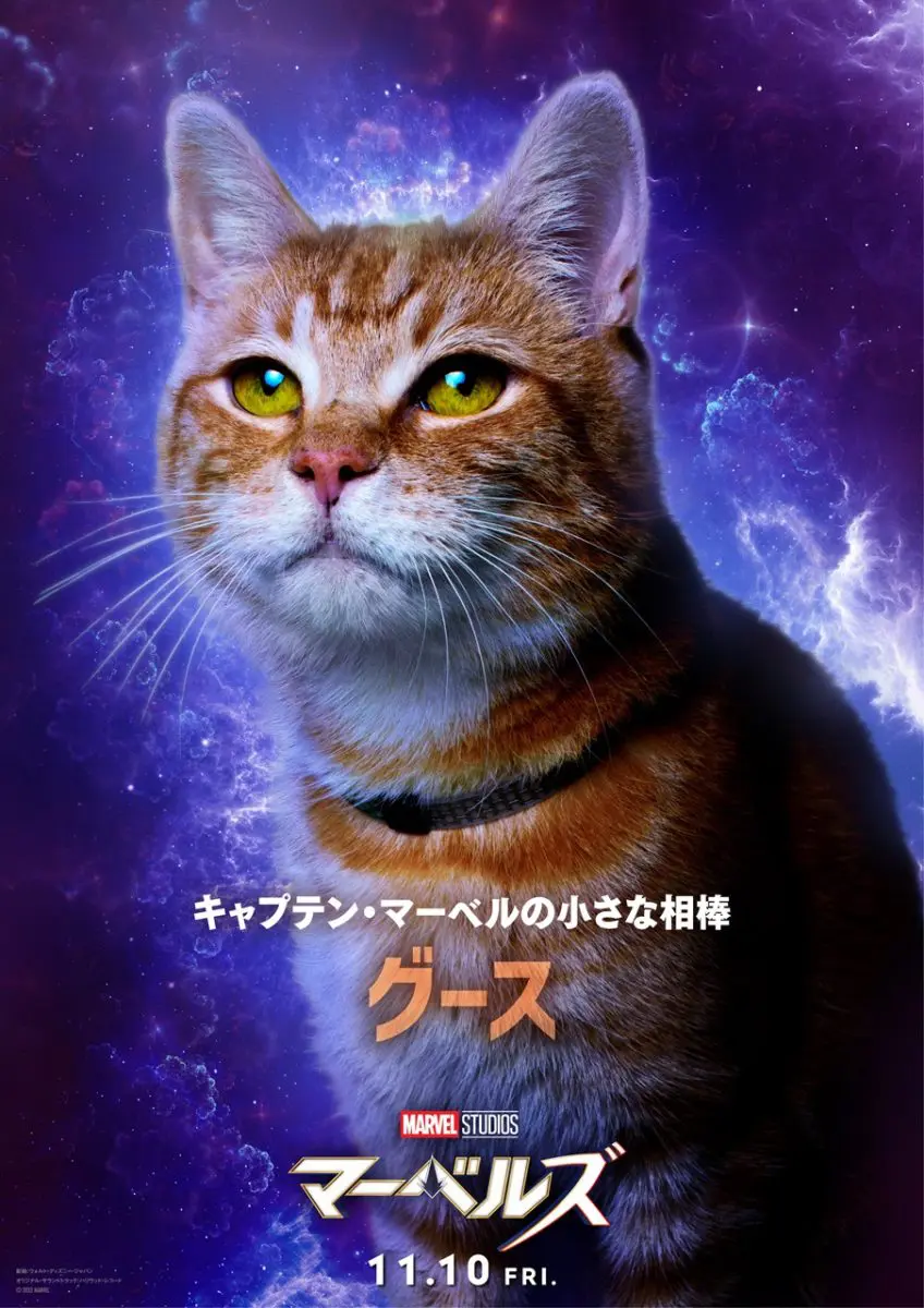 【1026_16時解禁】『マーベルズ