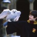 映画製作時には間に合わなかったものの、ぜひドラマ版で描いて欲しい『ハリー・ポッター』のシーン