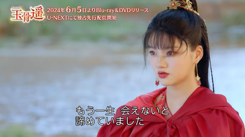 中国 ドラマ 「玉骨遥」DVD BOX 全3巻セット シャオ・ジャン主演 玉骨