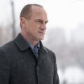 LAW & ORDER：組織犯罪特捜班