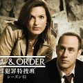 LAW & ORDER：性犯罪特捜班