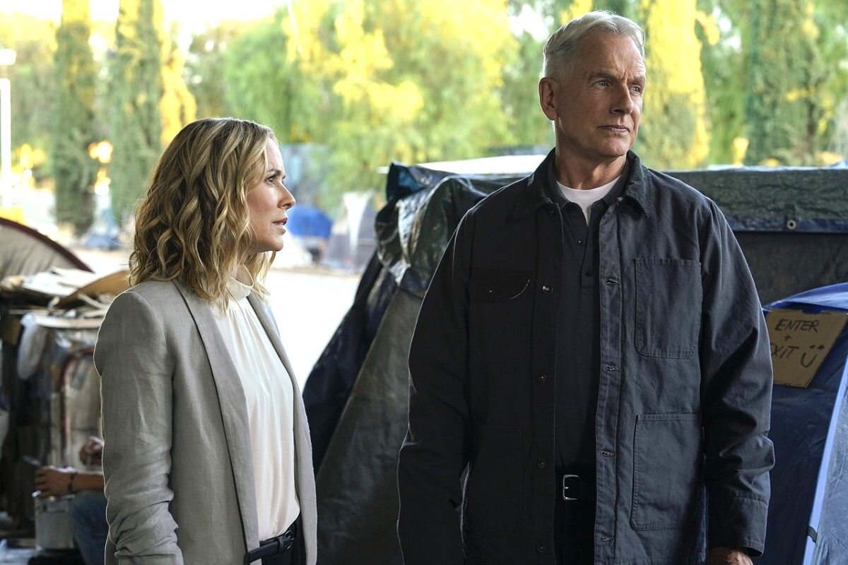 『NCIS』ジャック役マリア・ベロがNetflixのファミリードラマに出演