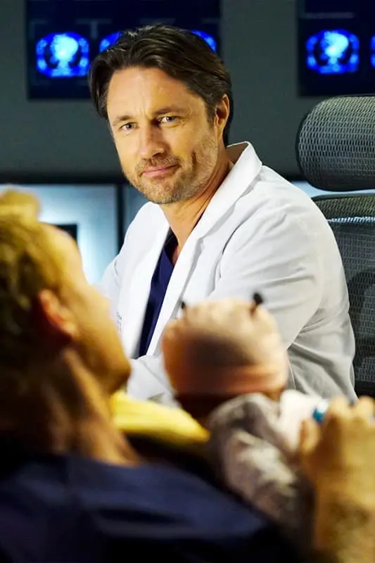 275363-greys02.jpg.webp