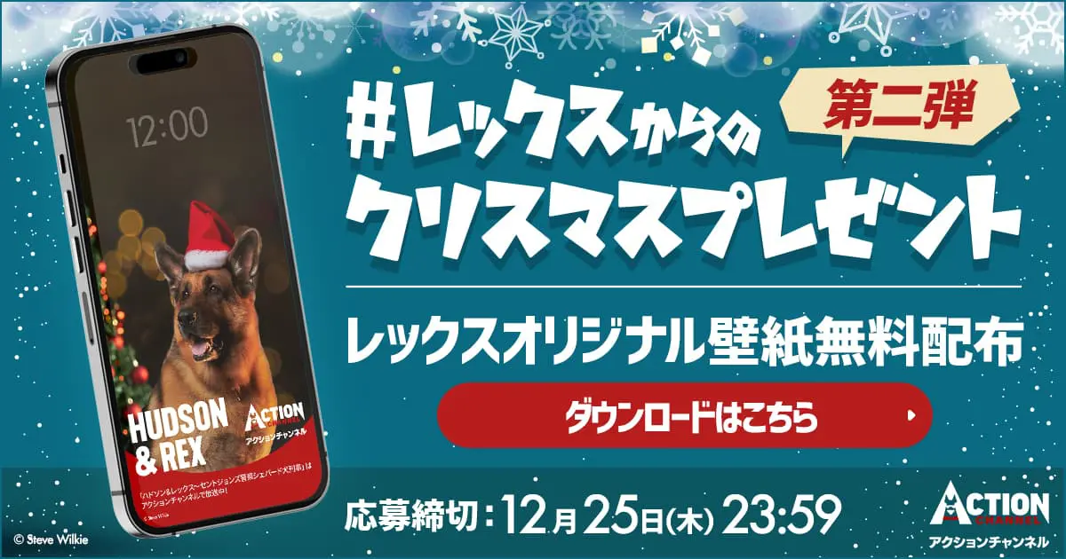 大ヒットポリス・アクション『ハドソン＆レックス』シーズン6、2025年3