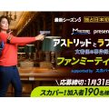 アストリッドとラファエル 文書係の事件録