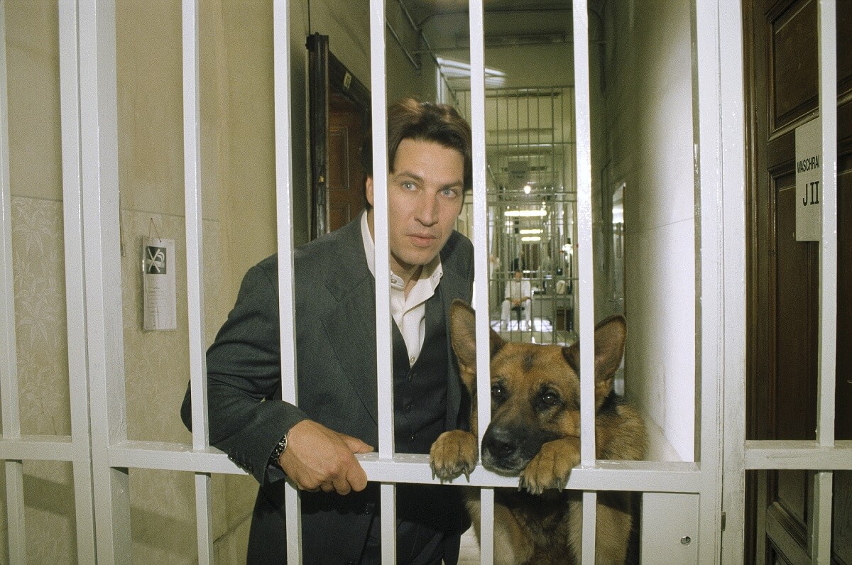 レックス～ウィーン警察シェパード犬刑事～