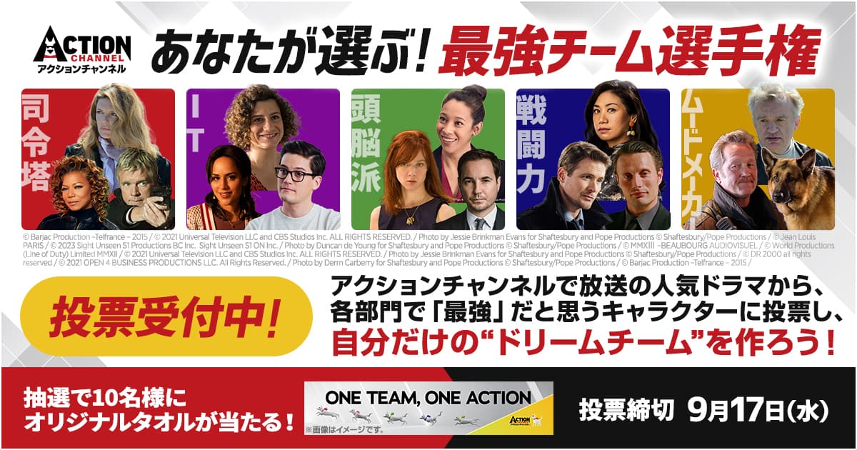 アクションチャンネル投票