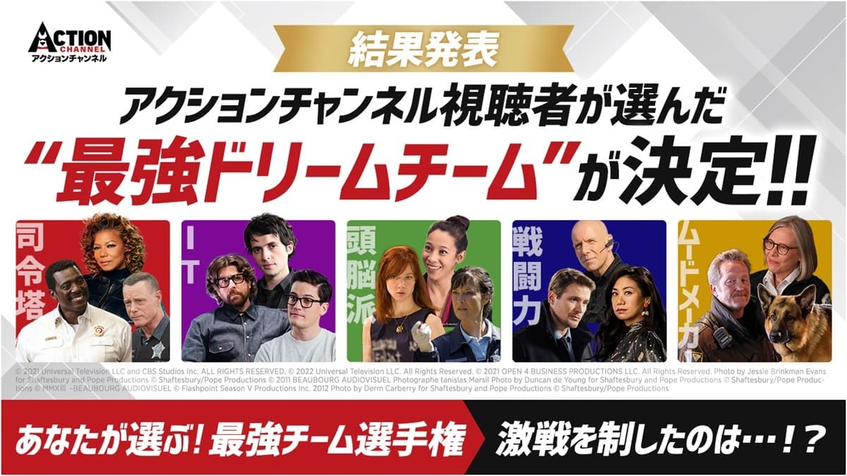 アクションチャンネル投票結果