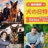 アクションチャンネル犬の日