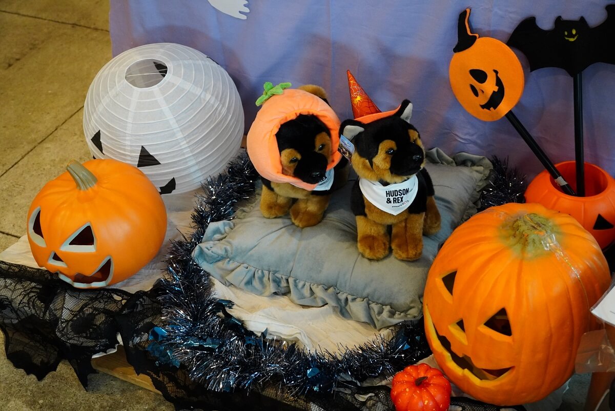 ハドソン&レックス~セントジョンズ警察シェパード犬刑事