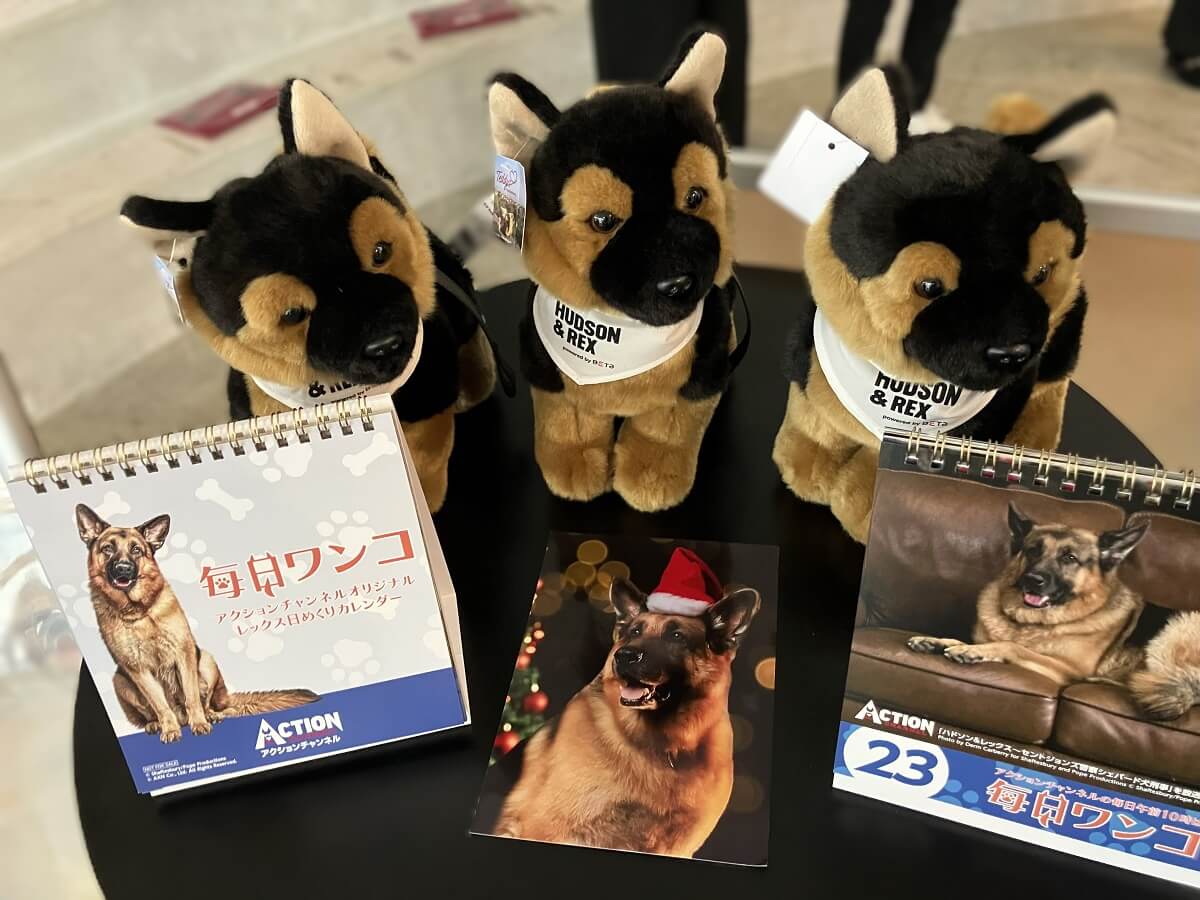 ハドソン&レックス~セントジョンズ警察シェパード犬刑事