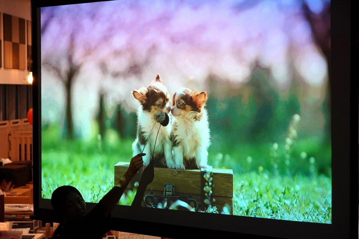 ハドソン&レックス~セントジョンズ警察シェパード犬刑事