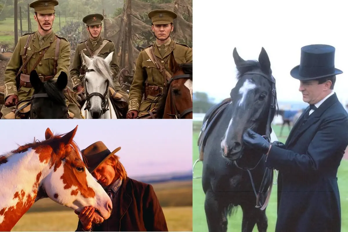 director 01, image size:1200x800