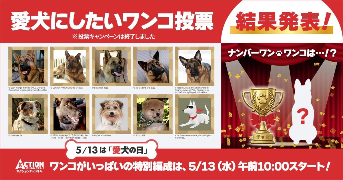 愛犬の日