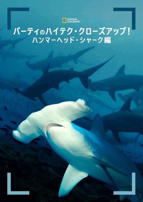 『バーティのハイテク・クローズアップ!ハンマーヘッド・シャーク編』