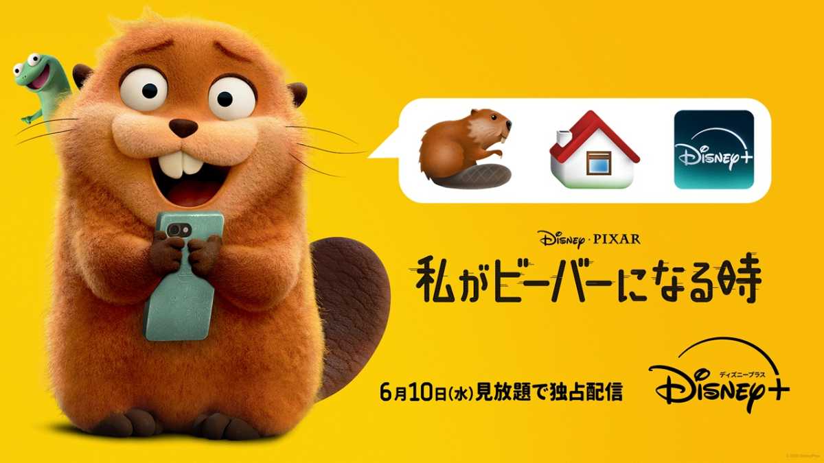 私がビーバーになる時