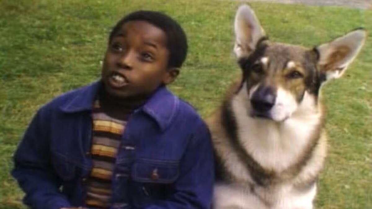 名犬ロッキー