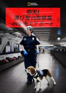 『仰天!運び屋vs取締屋in全米エアポート』シーズン9