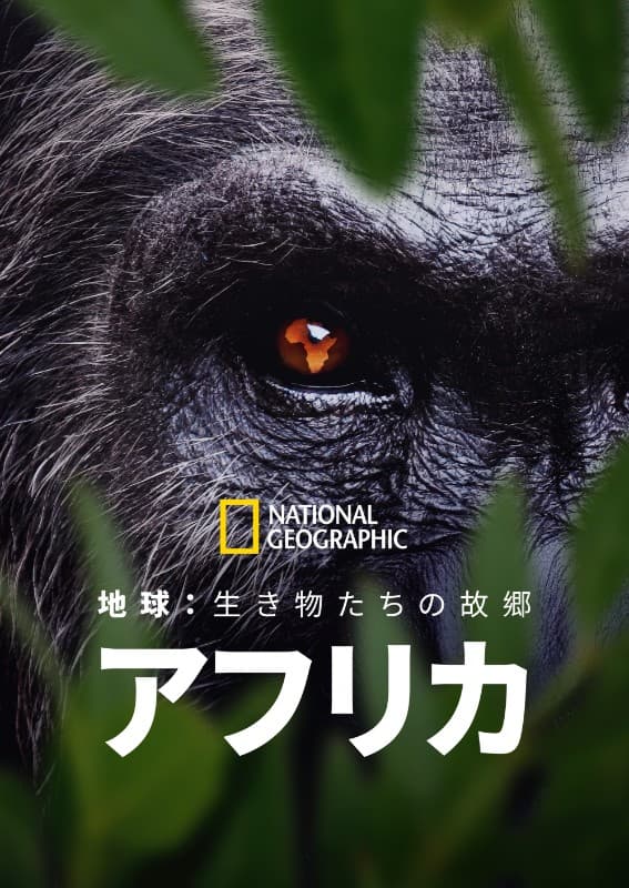 地球:生き物たちの故郷~アフリカ